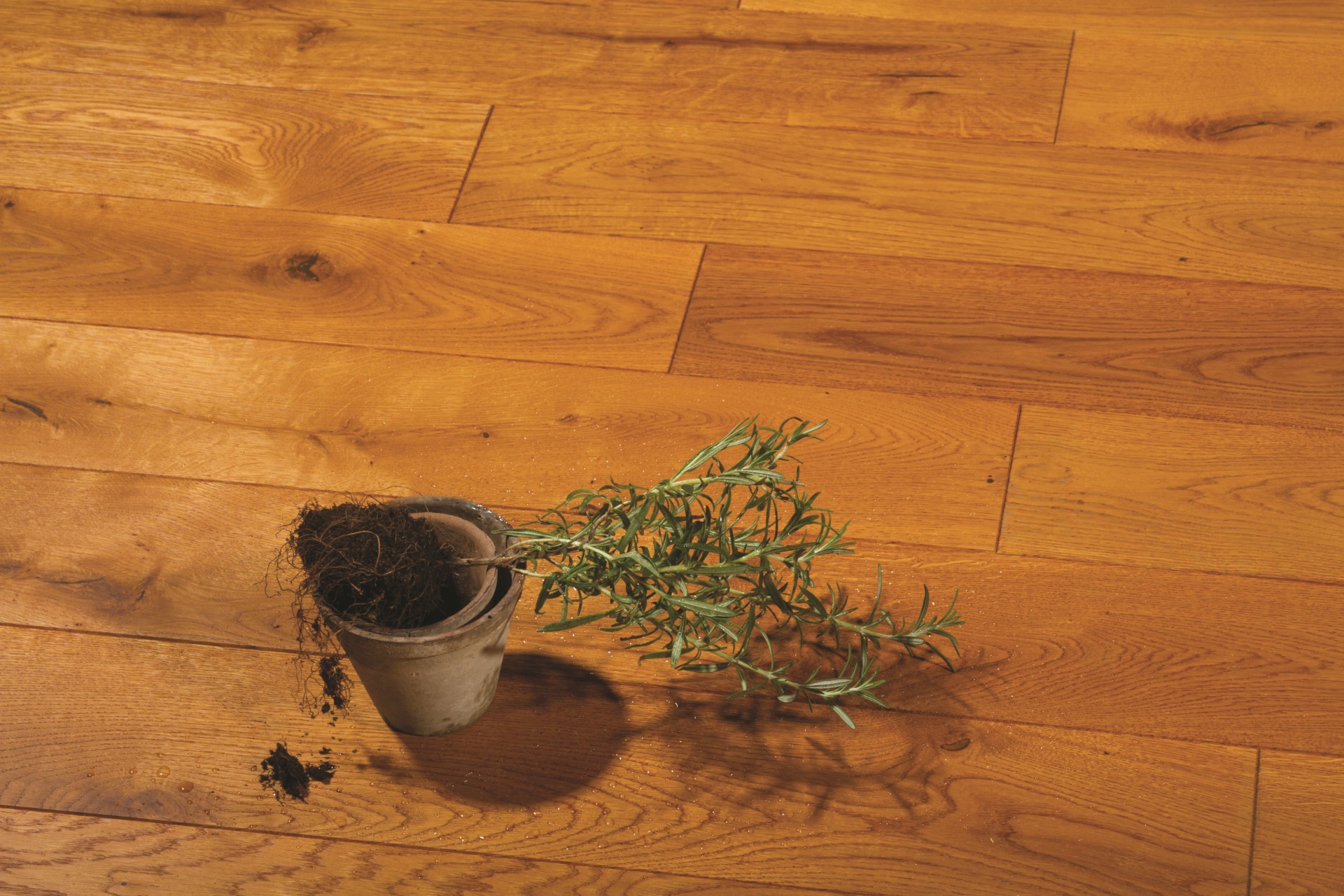 Grandiose Canyon Grandiose Canyon svédpadló